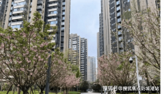 <b>非渠道消息误差导致的决策失误</b>