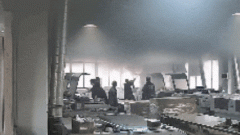 区每年开展两次全